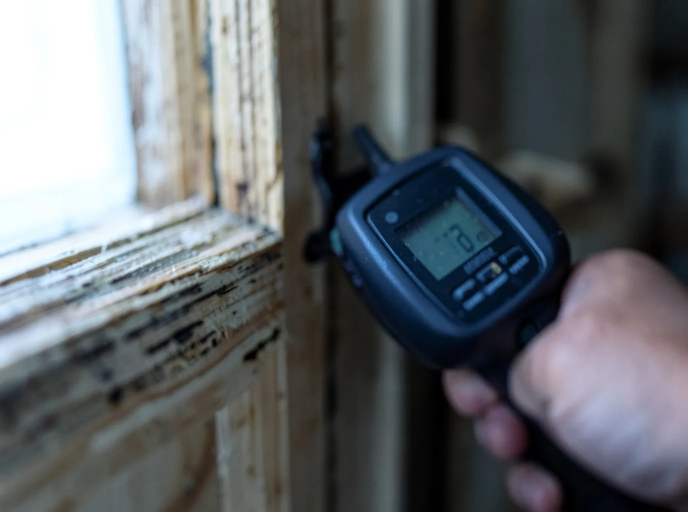 Moisture Inspection And Documentation in Ardenvoir, WA